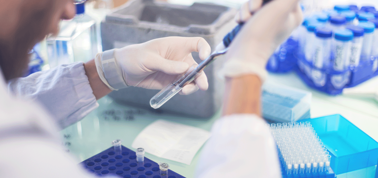 Un plan de développement stratégique pour la région