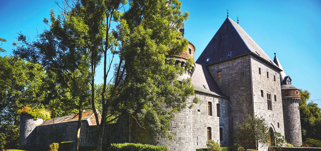 Le Comité de développement stratégique