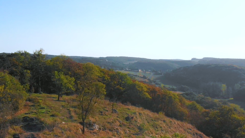 Een bosmassief zoals in de Ardennen, maar dan naast de deur