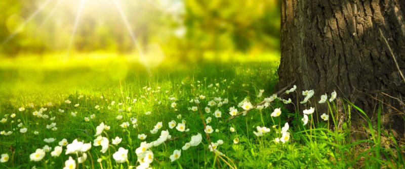 Chauds, chauds, plus chauds que le climat