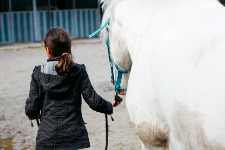 Cours d'équitation