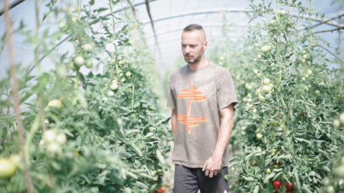 Ces producteurs locaux se démènent malgré la crise