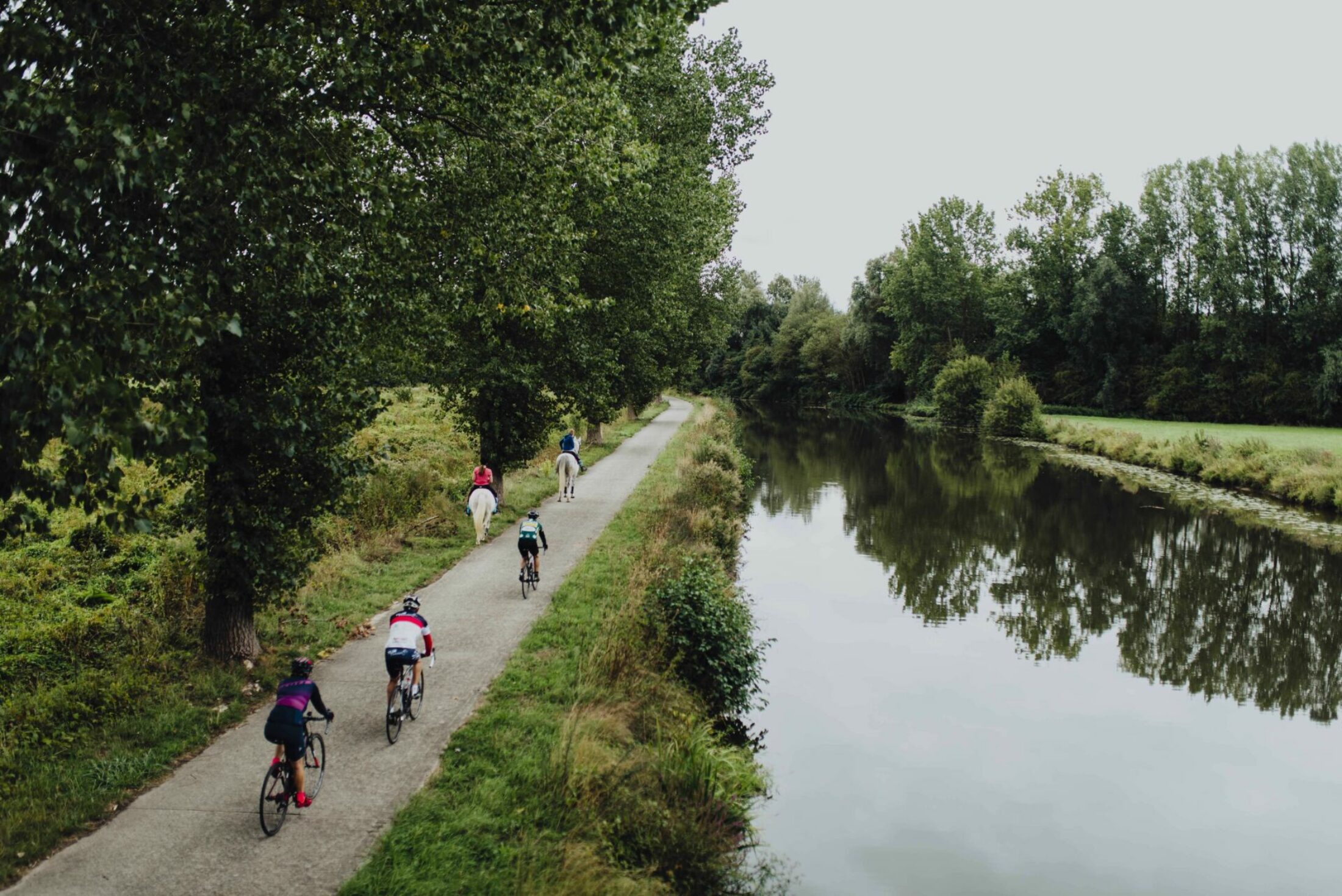 Découvrir la Métropole à vélo !