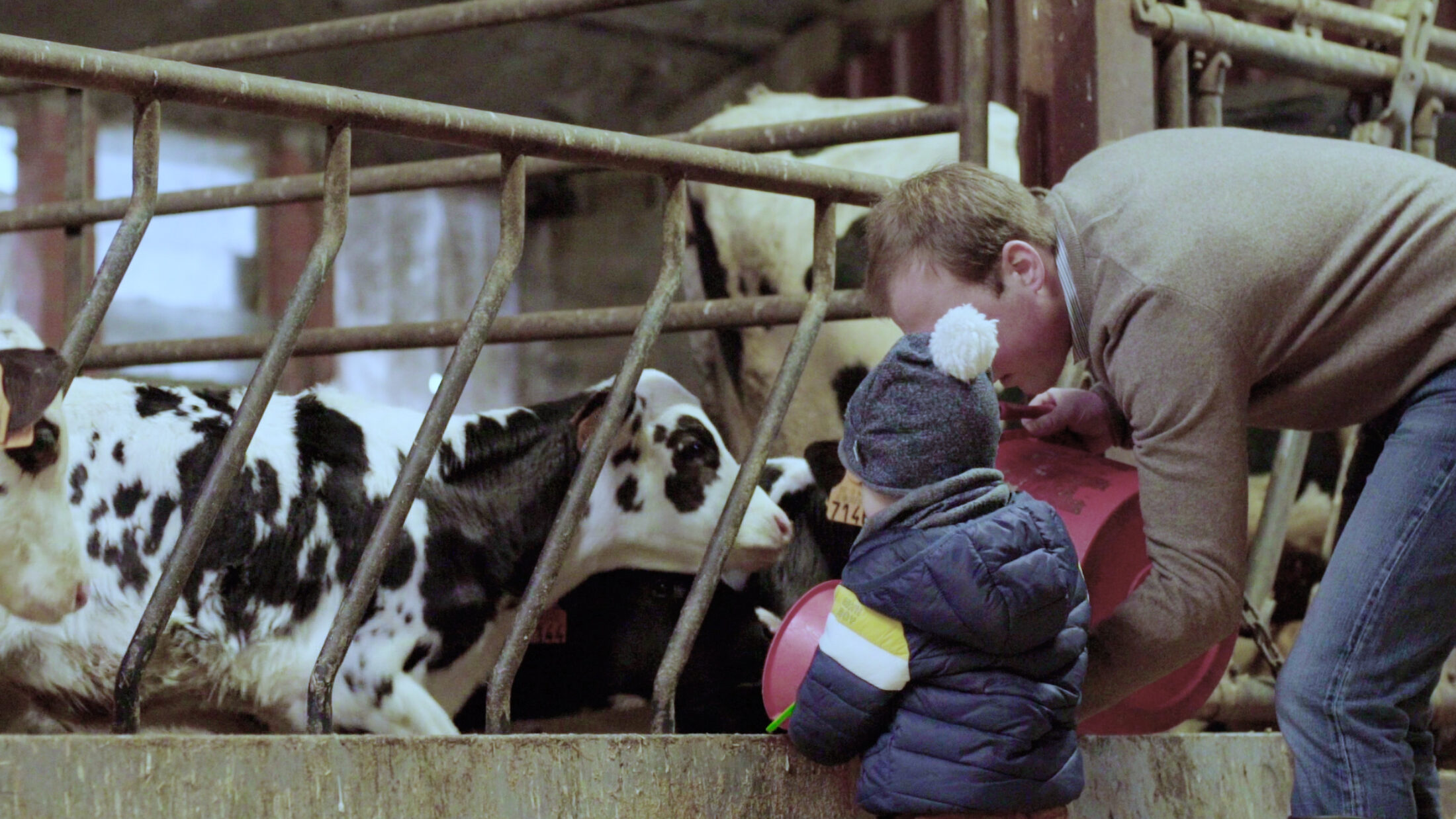 Voici pourquoi acheter du fromage à un producteur local