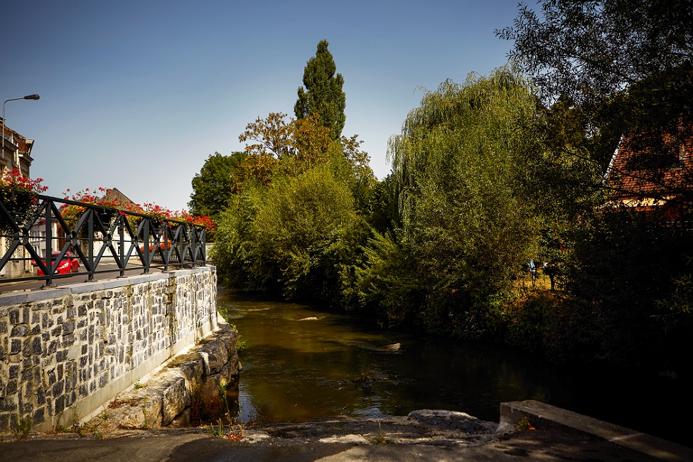 Un projet fédérateur