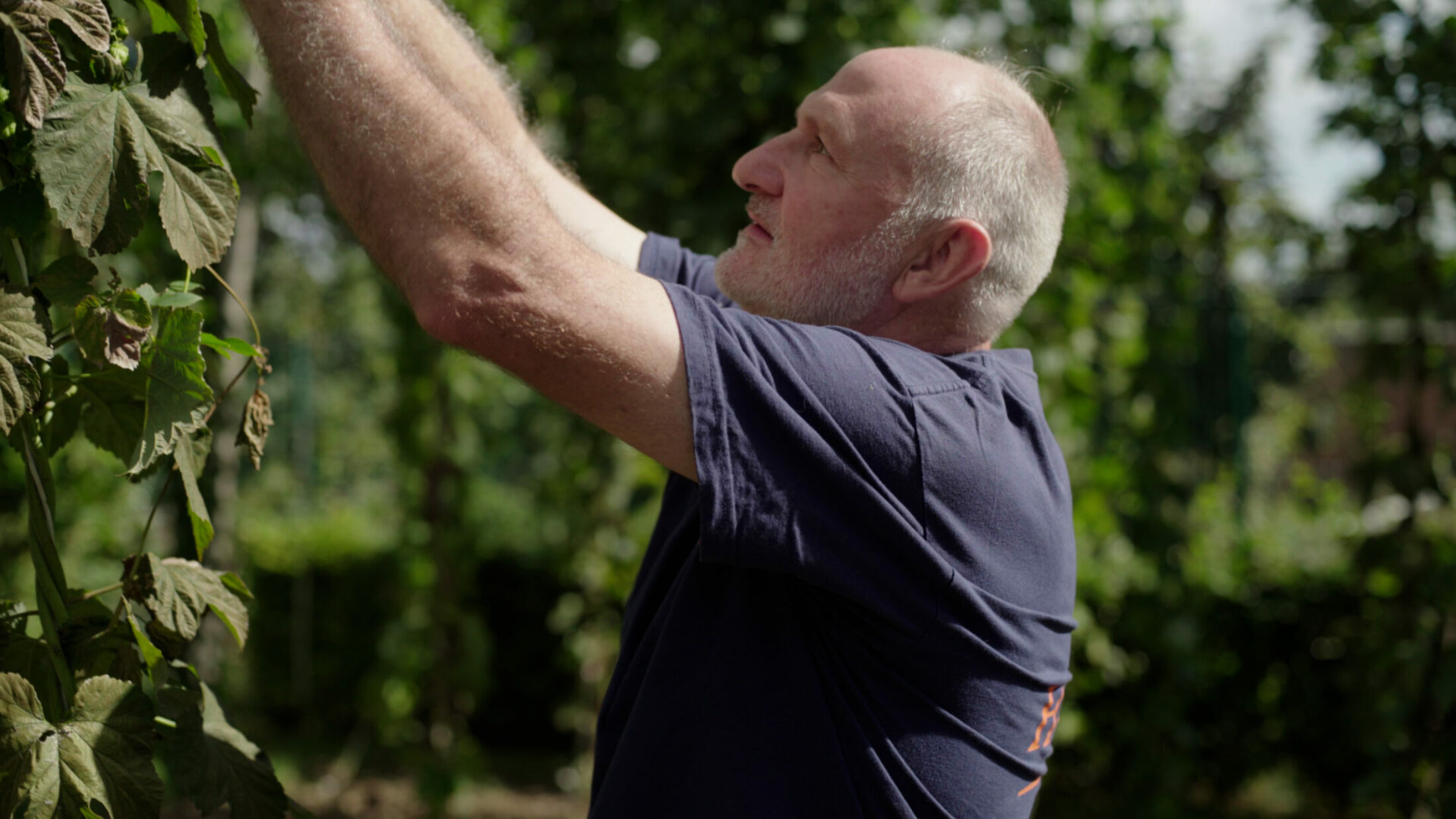 Dans cette brasserie didactique, apprenez à faire de la bière avec du houblon local