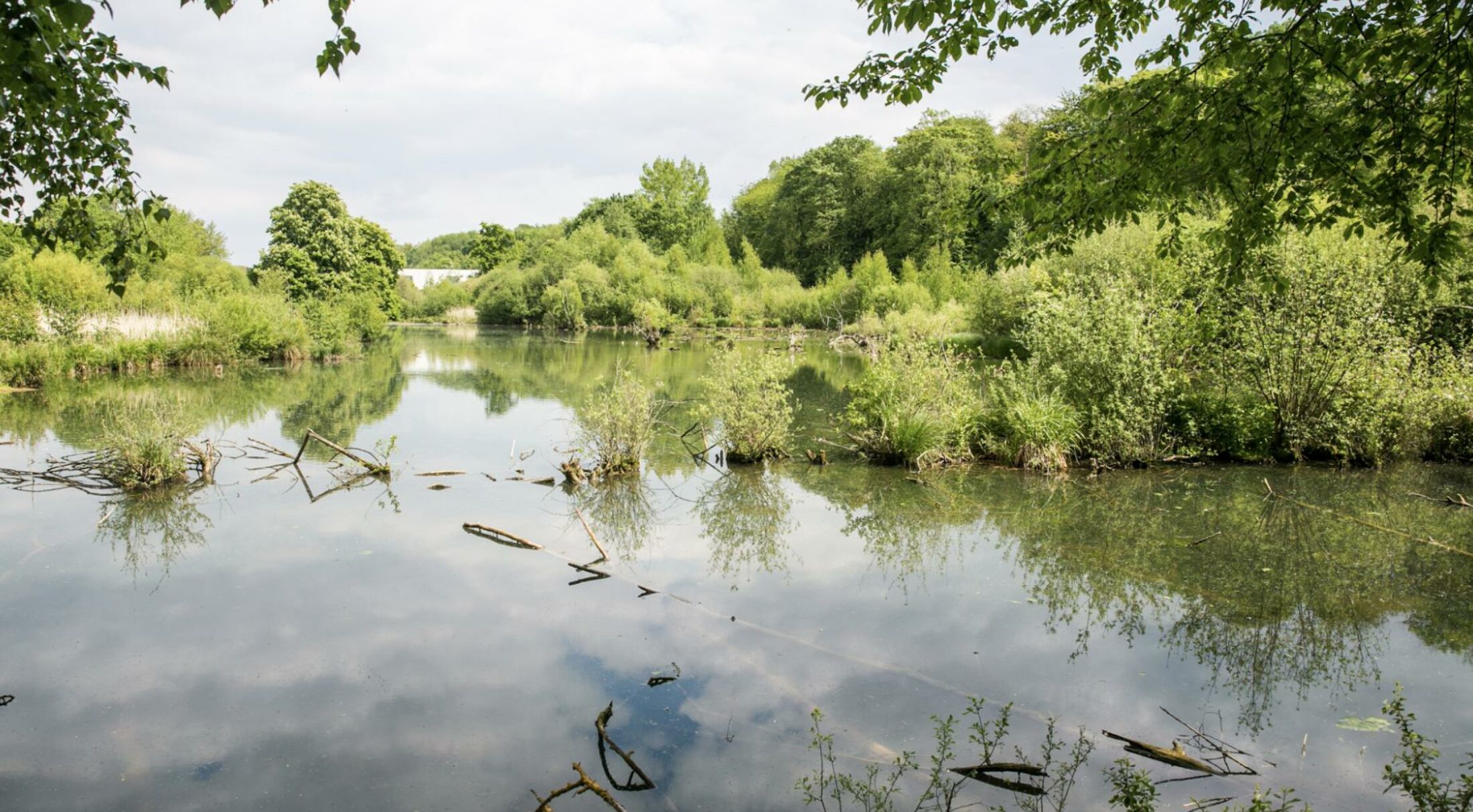 Ces photographes locaux qui subliment nos paysages