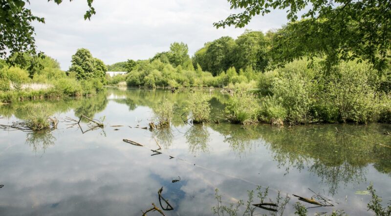 Ces photographes locaux qui subliment nos paysages