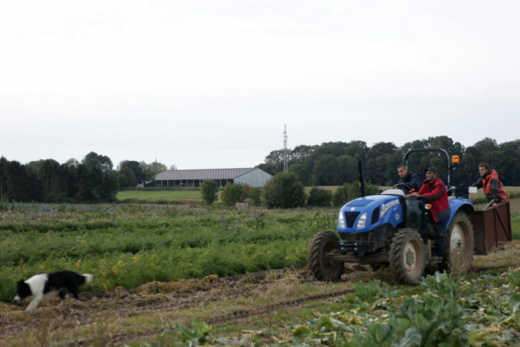 tracteur-sur-le-champ