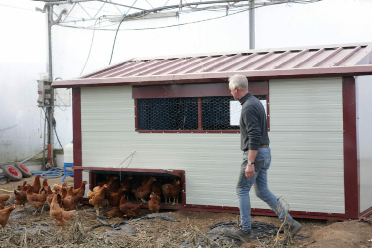 fermier-devant-le-poulalier-mobile