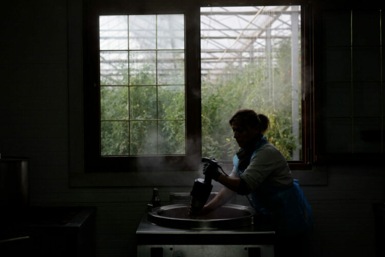 cuisiniere-qui-prepare-des-tomates
