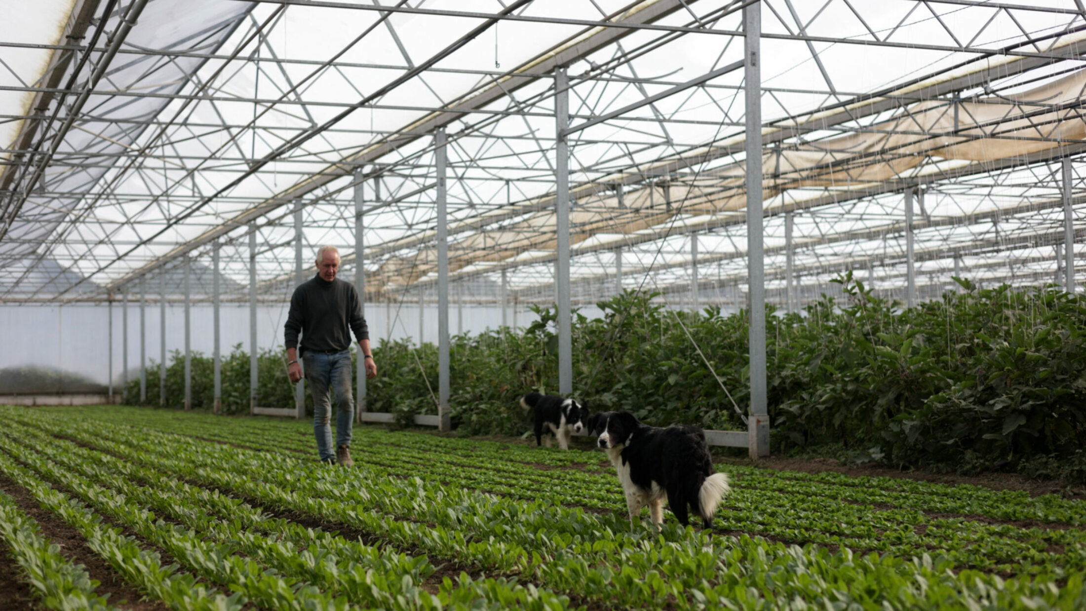 La Ferme de la Vallée : bien plus que des produits frais et de qualité