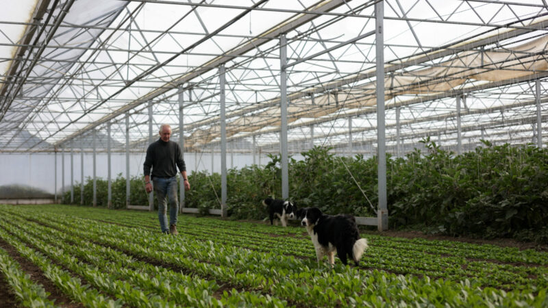 La Ferme de la Vallée : bien plus que des produits frais et de qualité