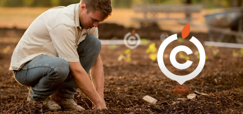 Food.C : produire à Charleroi Métropole, pour ses habitants