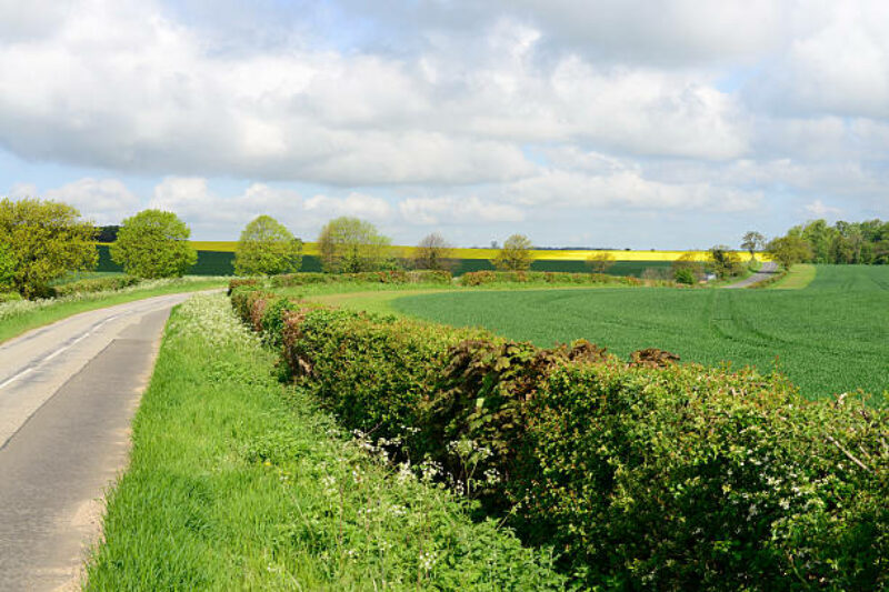 Semaine de l&rsquo;arbre : les distributions et animations à Charleroi Métropole