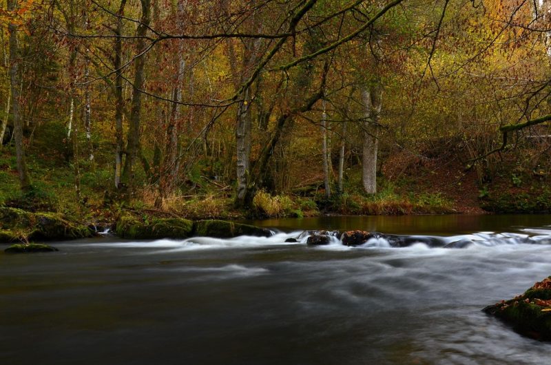 Un Parc National en Entre-Sambre-et-Meuse !