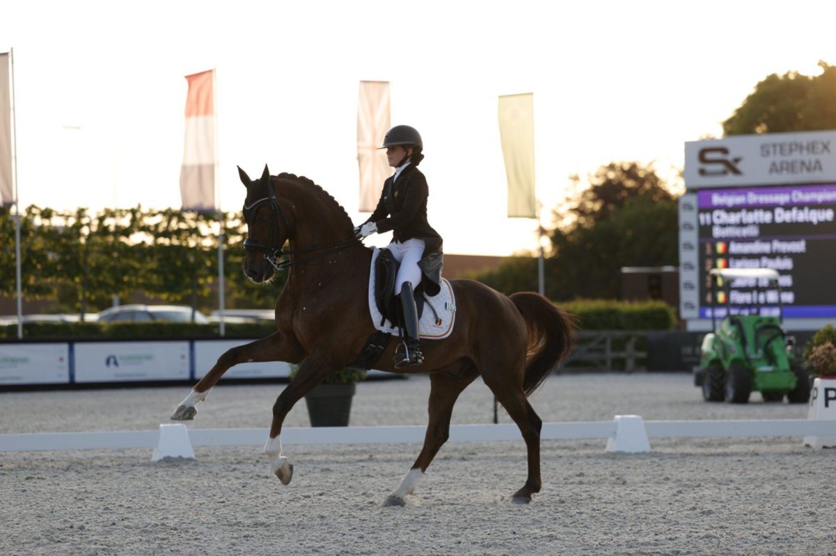 Le sport de haut niveau très en vue à Charleroi Métropole