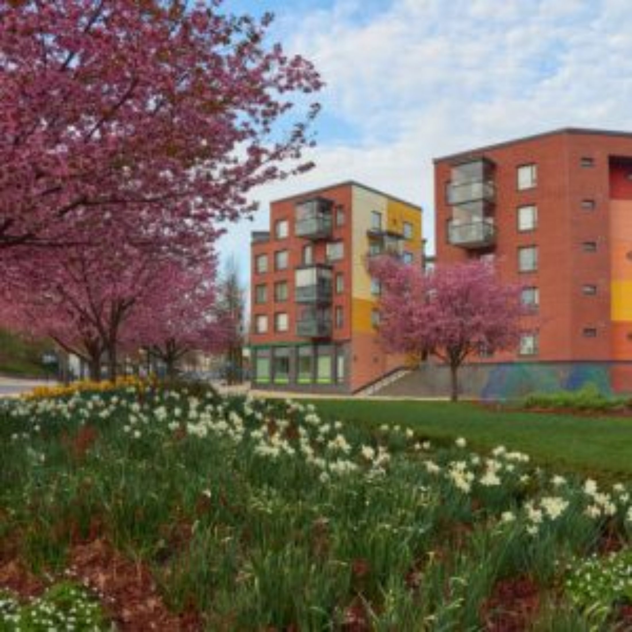 Participez à la formation en gestion écologique des espaces verts sur le territoire de Charleroi Métropole